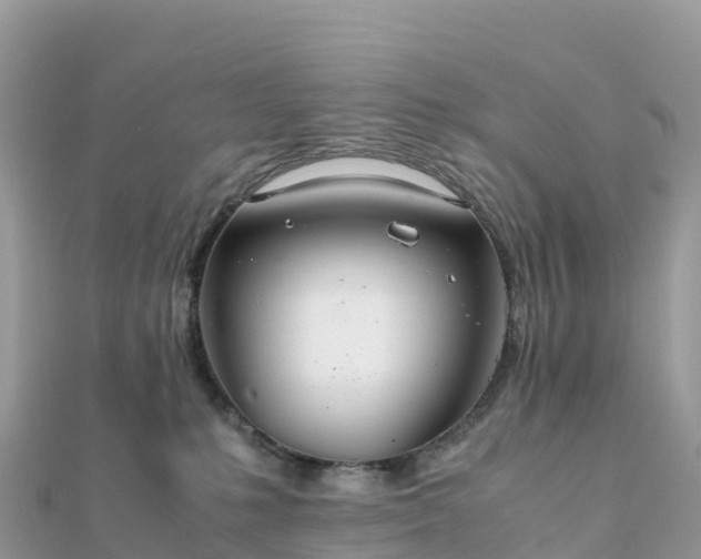 X0000111860231200907301138