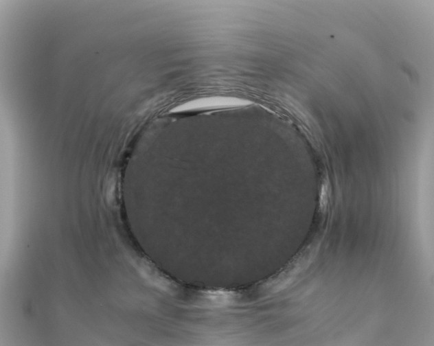 X0000111860233200907301138