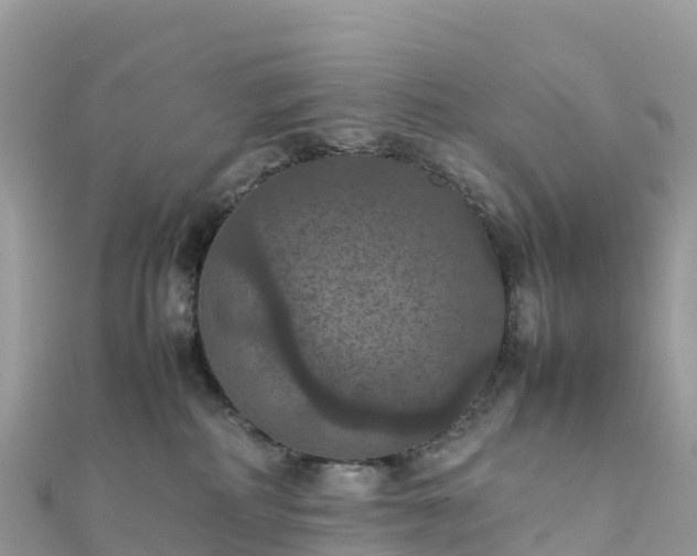 X0000111860234200907301138