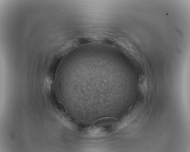 X0000111860235200907301138