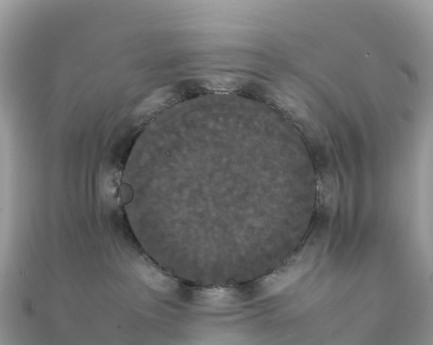 X0000111860237200907301138