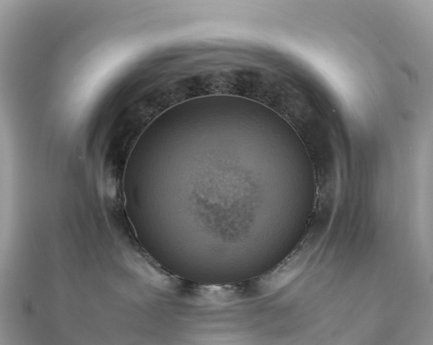 X0000111860239200907301138