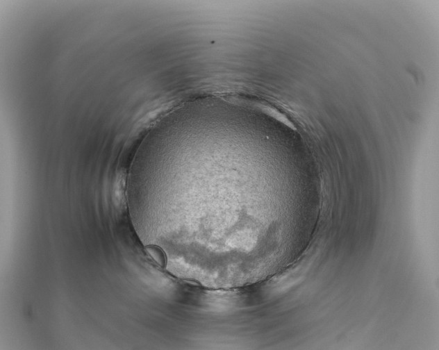 X0000111860240200907301138