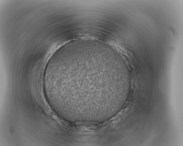 X0000111860241200907301137