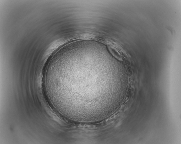 X0000111860242200907301138