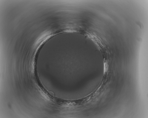 X0000111860243200907301138