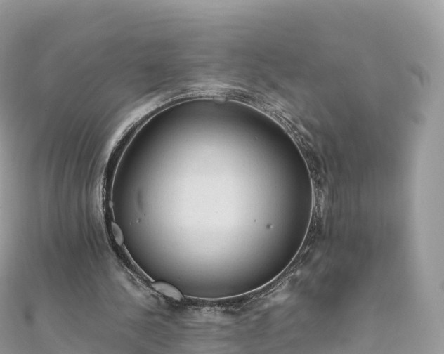 X0000111860244200907301138