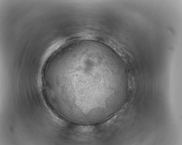 X0000111860245200907301138