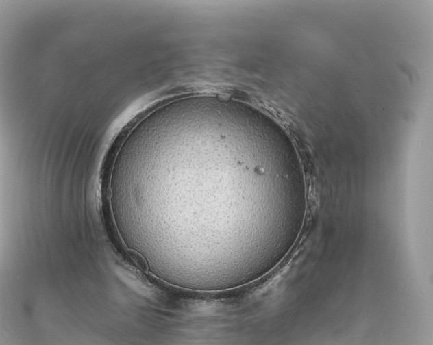 X0000111860246200907301138