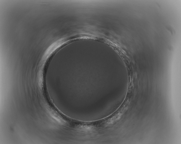 X0000111860247200907301138