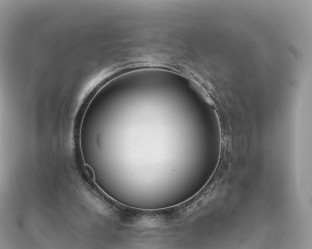 X0000111860248200907301138