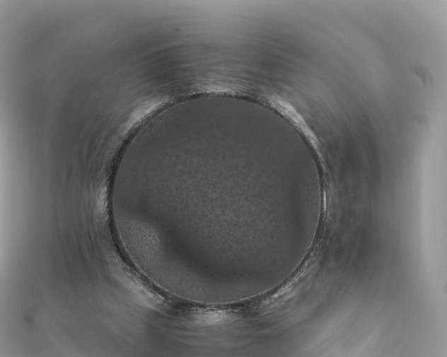 X0000111860249200907301138