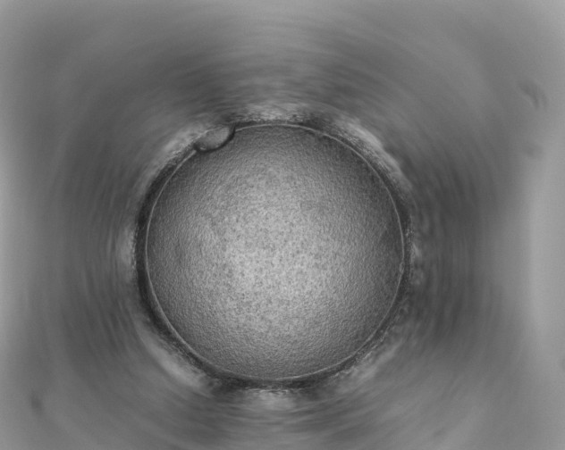 X0000111860250200907301138