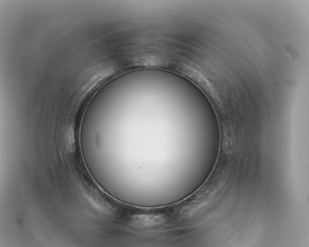 X0000111860251200907301138