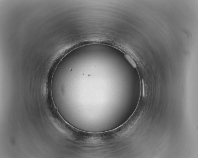 X0000111860252200907301138