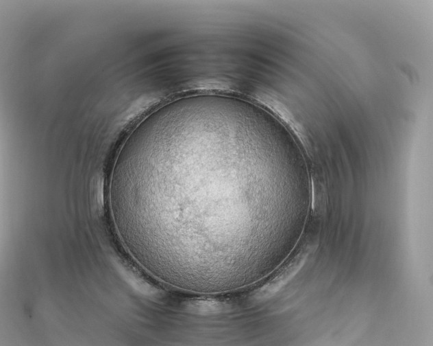 X0000111860253200907301138