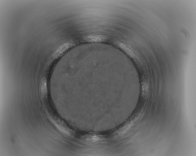 X0000111860254200907301138