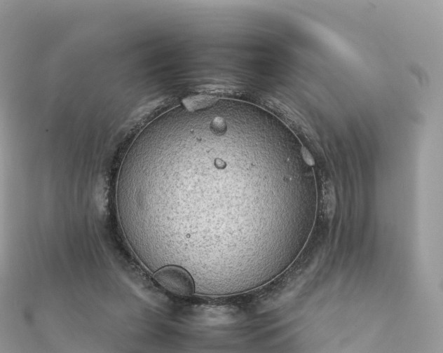 X0000111860255200907301138