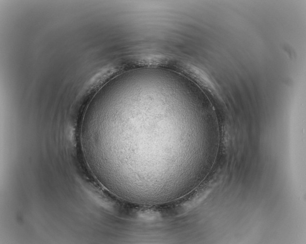 X0000111860258200907301138