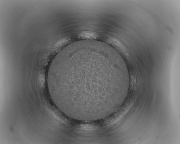 X0000111860259200907301138