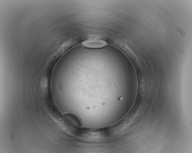 X0000111860260200907301138