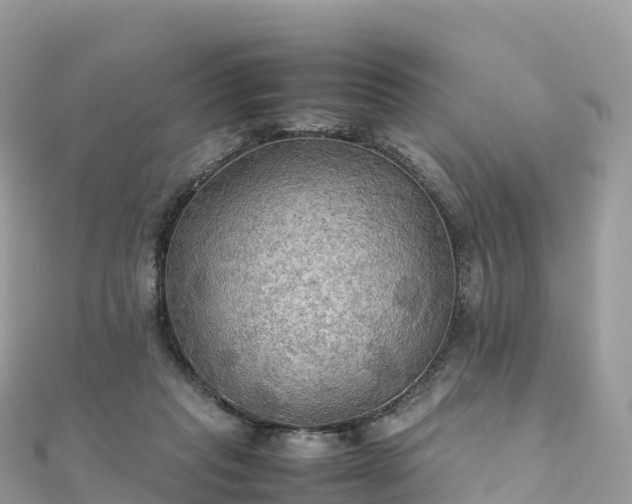 X0000111860261200907301138