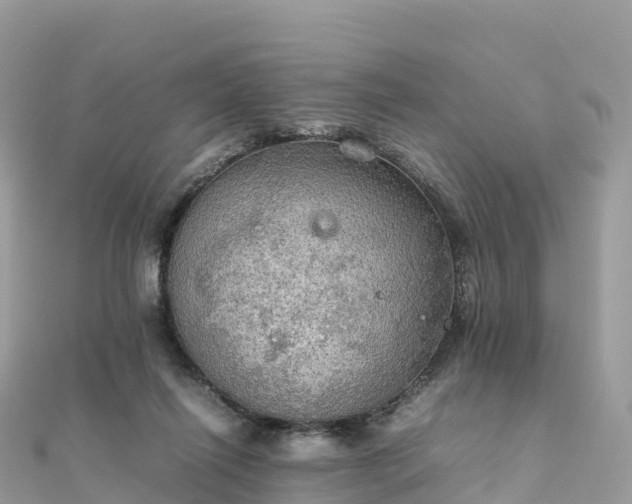 X0000111860262200907301138