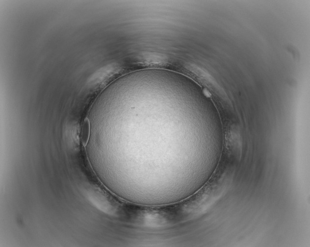 X0000111860264200907301138