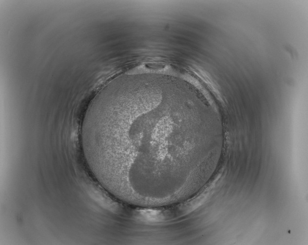 X0000111860265200907301138