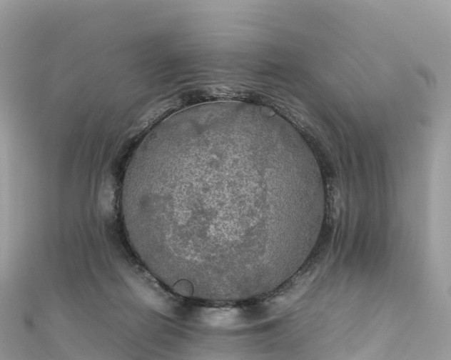 X0000111860266200907301138