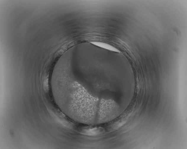 X0000111860267200907301138