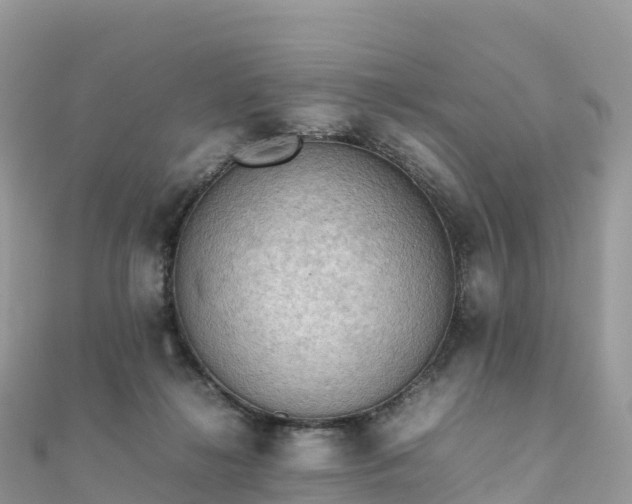 X0000111860268200907301138