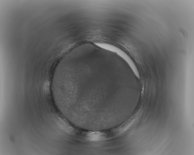 X0000111860269200907301138