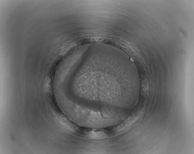 X0000111860270200907301138