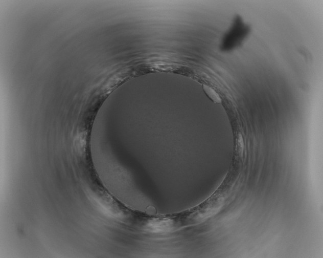 X0000111860271200907301138