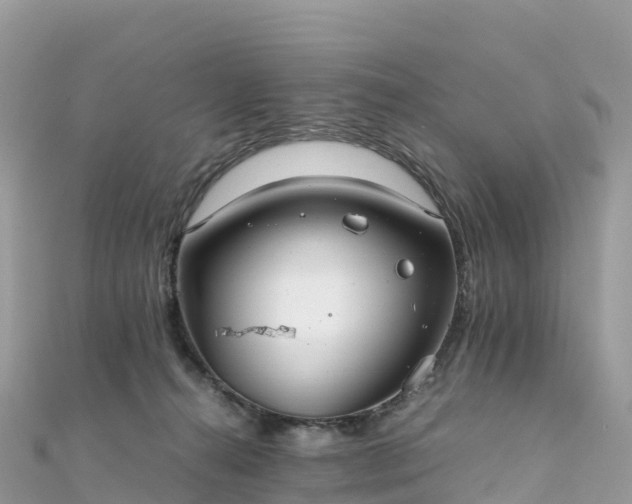 X0000111860272200907301138