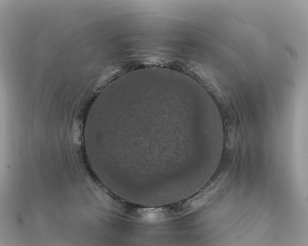 X0000111860273200907301138