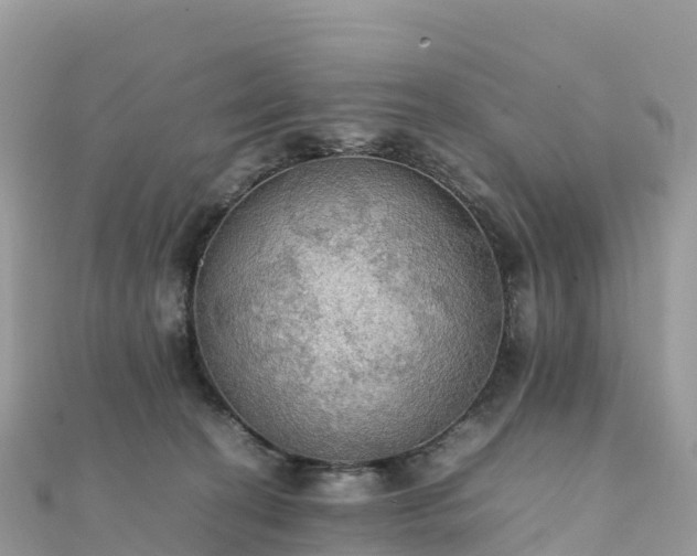 X0000111860274200907301138