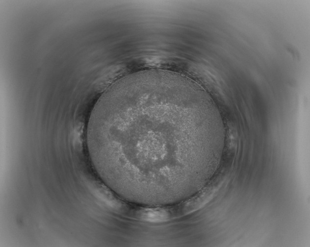 X0000111860275200907301138