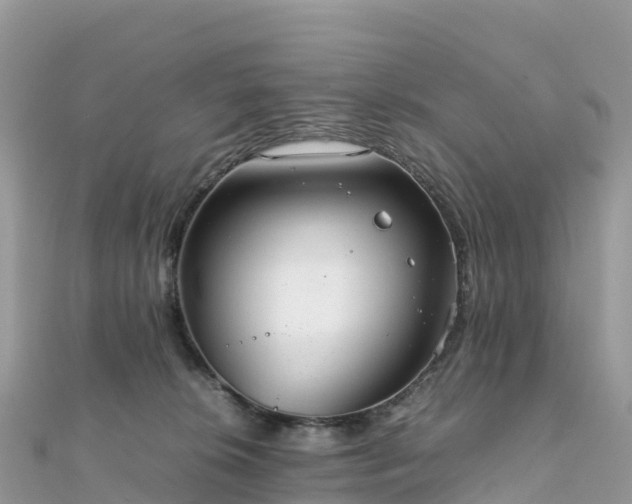 X0000111860276200907301138