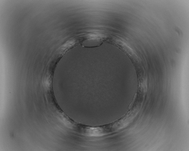 X0000111860277200907301138