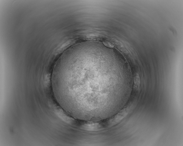 X0000111860278200907301138