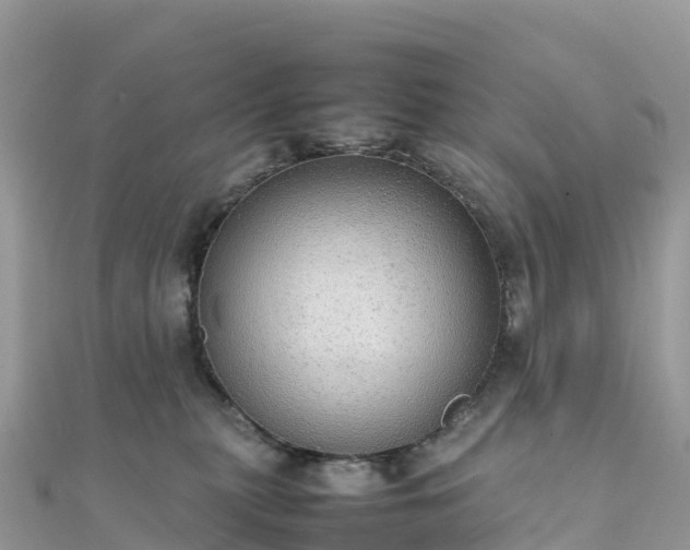 X0000111860279200907301138