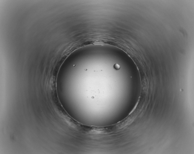 X0000111860280200907301138