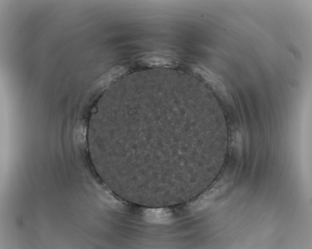 X0000111860281200907301138