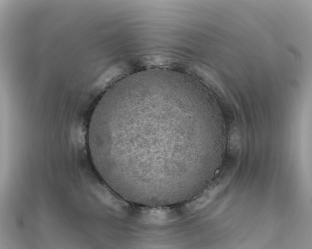 X0000111860282200907301138