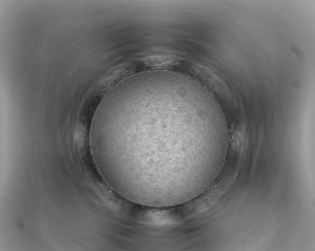 X0000111860283200907301138