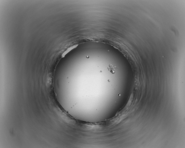 X0000111860284200907301138