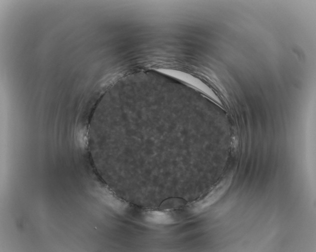 X0000111860285200907301138