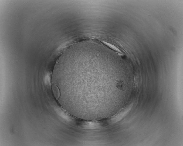 X0000111860286200907301138